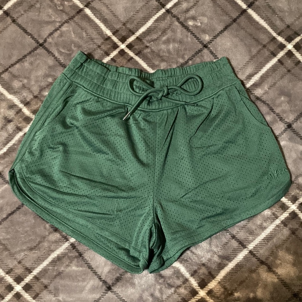 Gilly Hicks mesh shorts